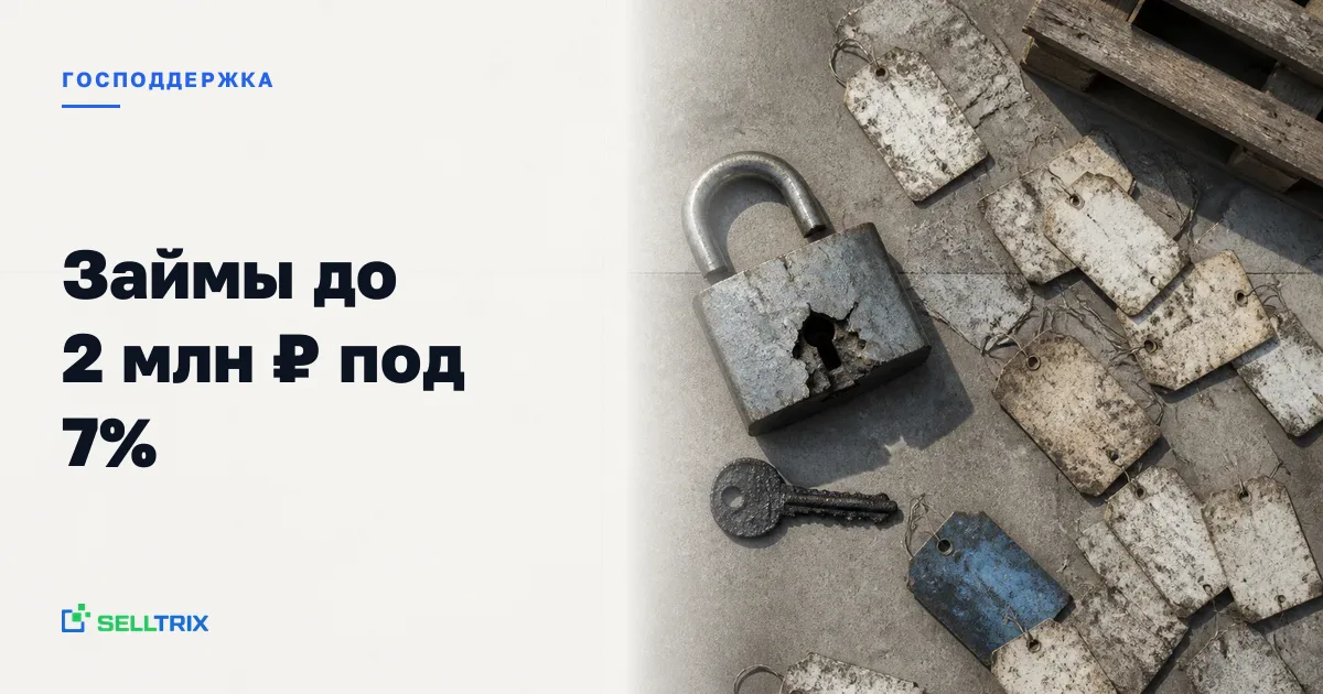 Господдержка селлеров Wildberries после пожара на складе